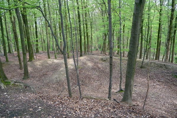 Glooiende bossen bij Houthem