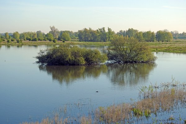De Oude Waal