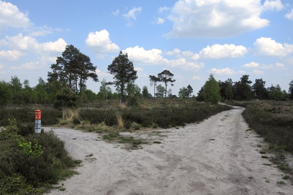 Kruispunt van wandelpaden, omgeving Haarlerberg