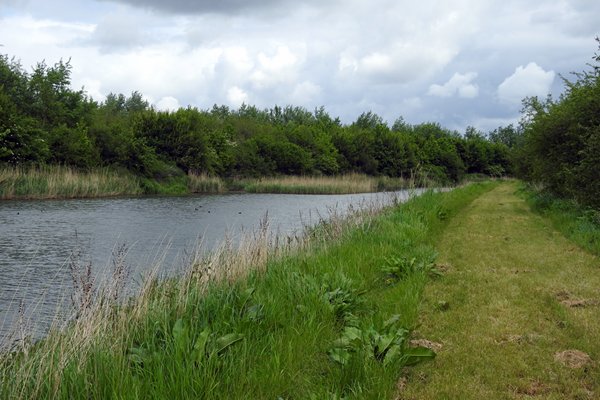 Een brede vaart in het Harderbos