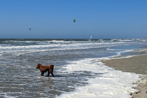 Het strand bij Bloemendaal