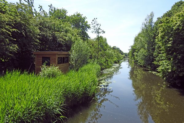 De ijsvogelkijkhut bij de Hortus van Alkmaar