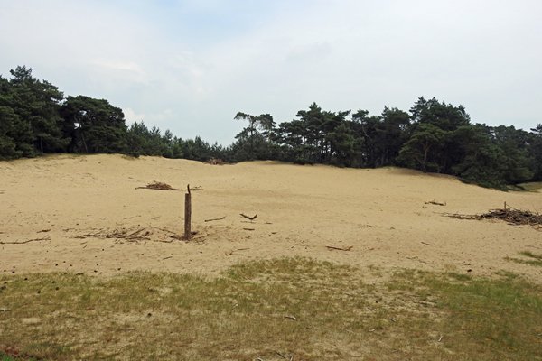 Zandverstuiving op Wekeromse Zand