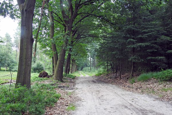 Schenkenshul