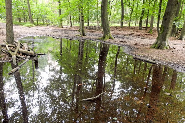 Grote plassen op wandelpaden bij Beekbergen