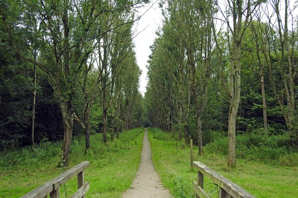 Westerveldse bos