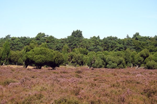 Omgeving Boveneindseweg