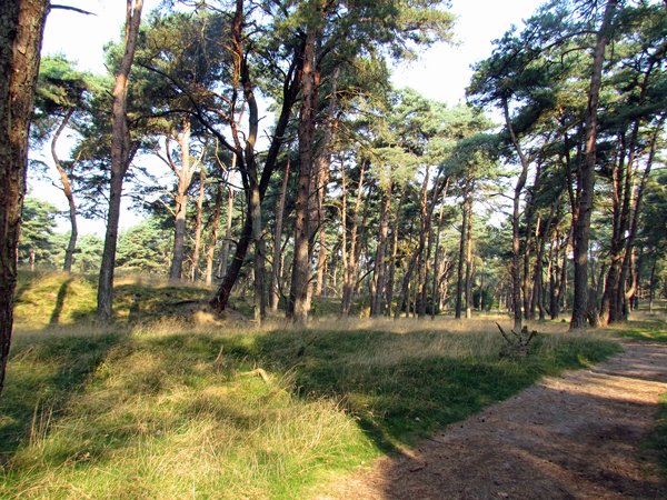 Wekeromse Zand