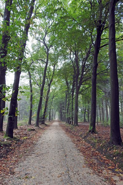 Omgeving Bennekom