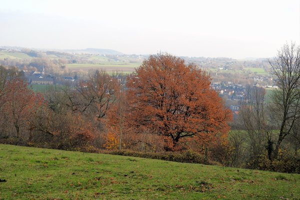 Omgeving Schweibergerbos