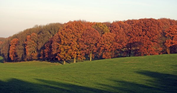 Herfstkleuren bij Crapoel