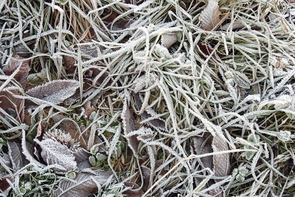 Winter bij Varsseveld 1