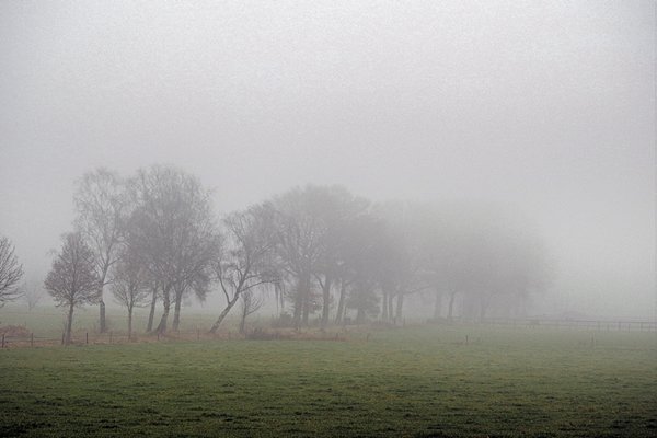 Omgeving Raatakkerweg in de mist