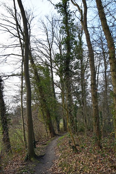 Bandijk bij Voorst