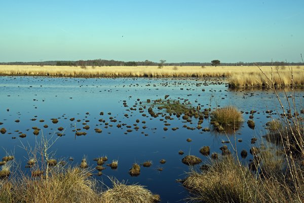 Het Wierdense Veld bij Nijverdal