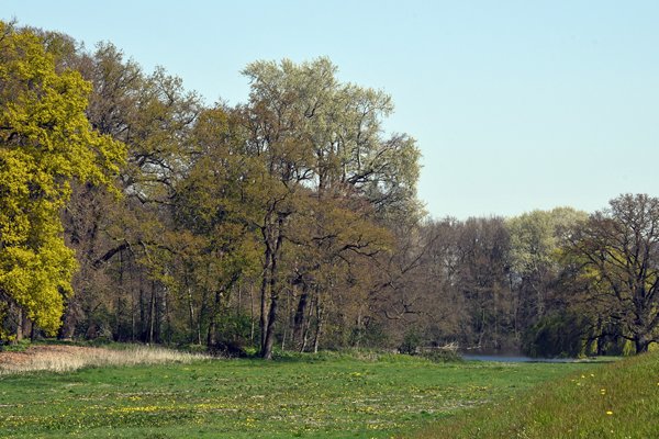 Park bij Landhuis 't Schol