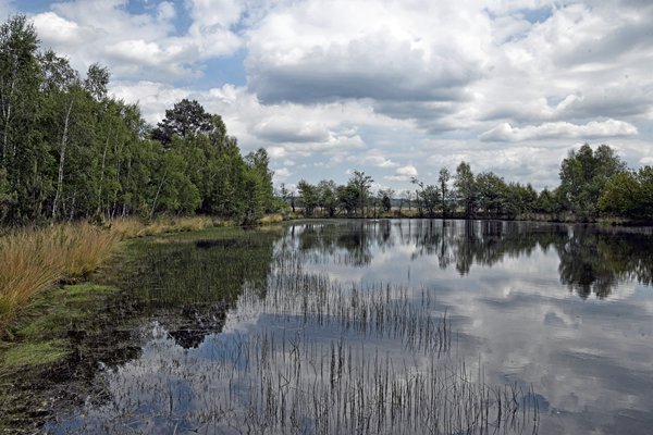 Deelense Was op de Hoge Veluwe