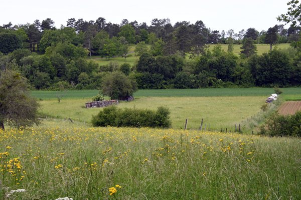 Landschap bij Nismes (Viroinval)