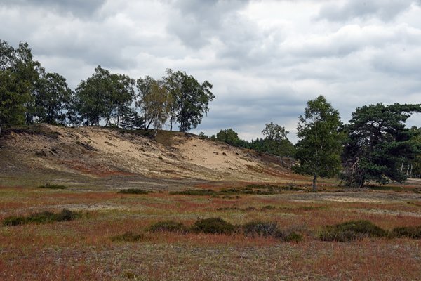 De Mosselsche Bergen