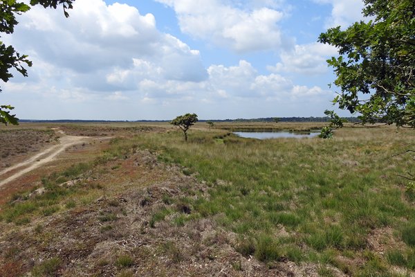 Gietense Fles (Hoge Veluwe)