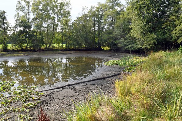 De Heideplas bij Ede