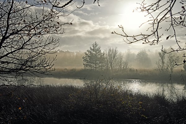 Vreemd licht bij het Kootwijkerveen