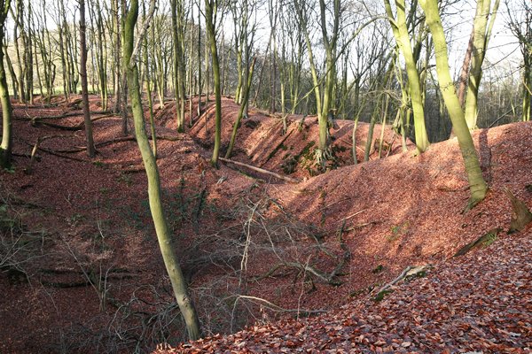 Romeinse leemgroeve bij Natuurwandeling N70