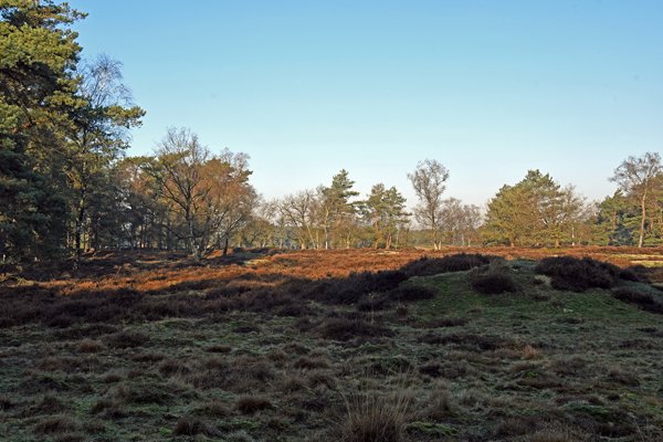 Landgoed Bornia bij Zeist
