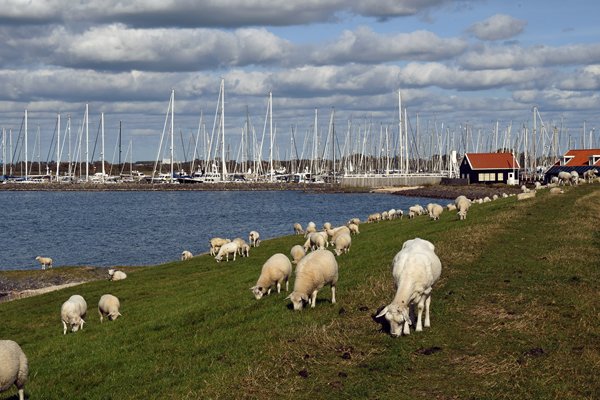 Dijk bij Hindeloopen