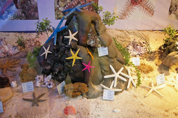 Natuurhistorisch museum in Ulaan Baatar, Mongolië 2010