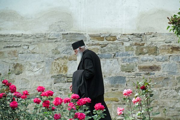 Oudere kloosterling in Putna, Roemenië 2012
