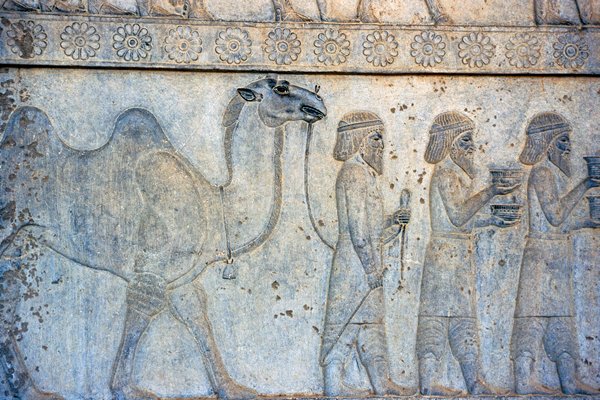 Aanbieden van giften op reliëf in Persepolis, Iran 1998