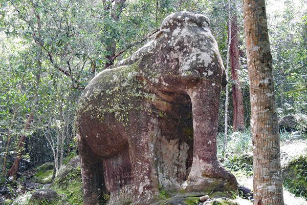 Sra Damrie, het olifantenmeer, in Phnom Koulen NP, Cambodja 2015