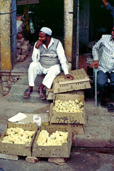 Kuikenverkoop bij de Jama Masjid, Delhi, India 1986