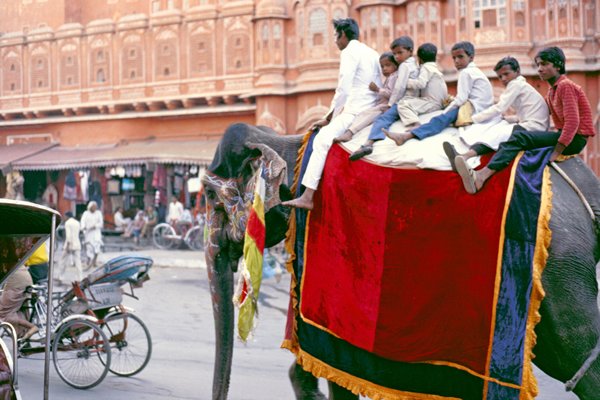 Zeven personen op een olifant in Jaipur, India 1986