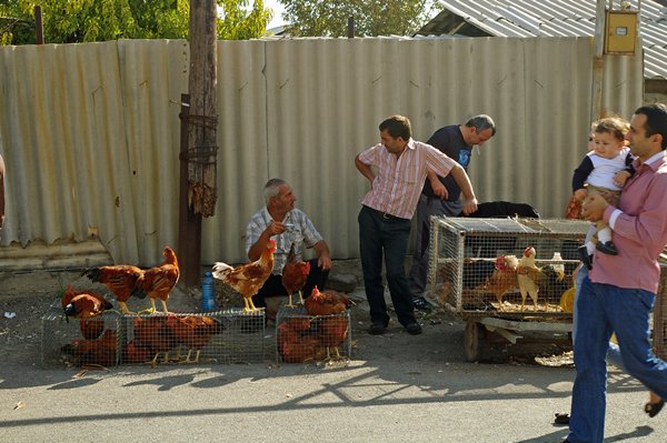 Kippenverkoop op straat, Jerevan, Armeniƫ 2013