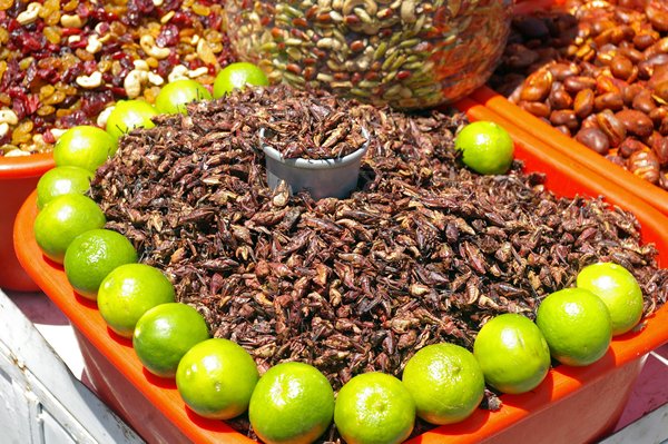 Sprinkhanen als snack, Mexico Stad 2014