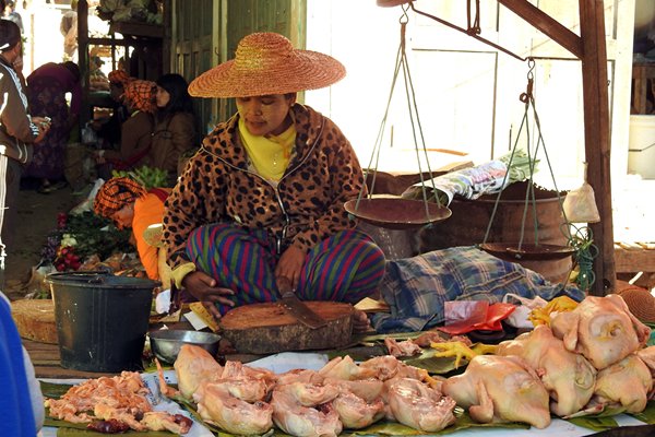 Kippen op de vijf-dagen markt in Heho, Myanmar 2016