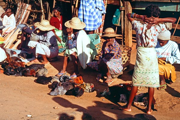 Kippenverkoop in Ihosy, Madagascar 1997