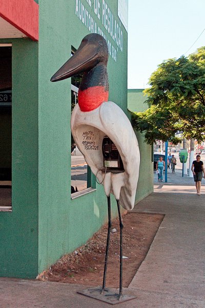Jabiru telefooncel in Cuiabá, Brazilië 2006