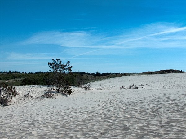 De zandduinen van Mile Rasbjerg, Denemarken 2006