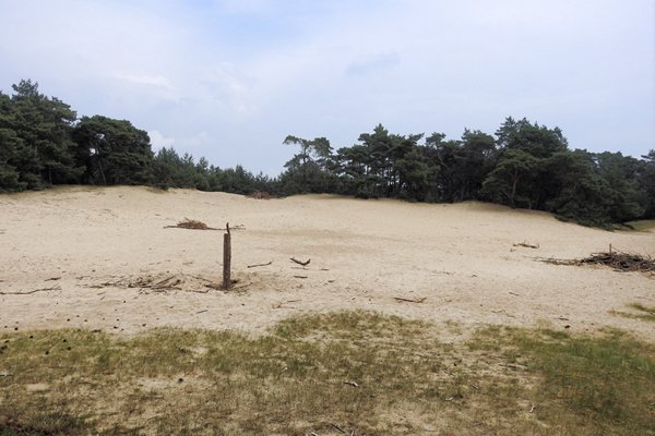 Wekeromse Zand 2016