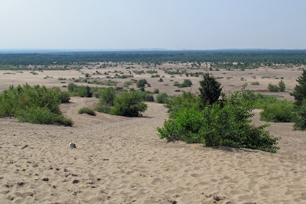 De Bledowska desert, Polen 2012