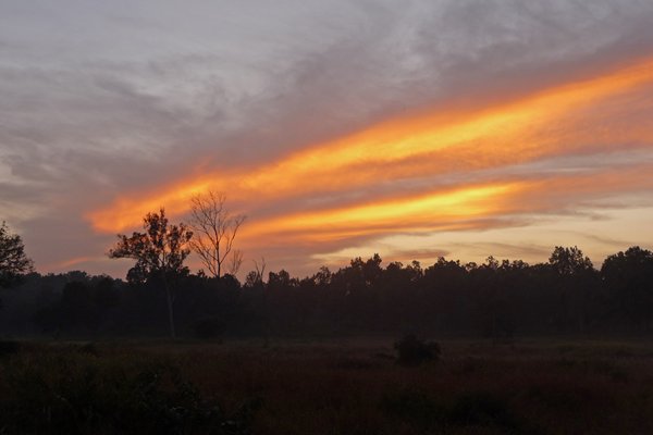 Zonsondergang in Kanha, India 2009