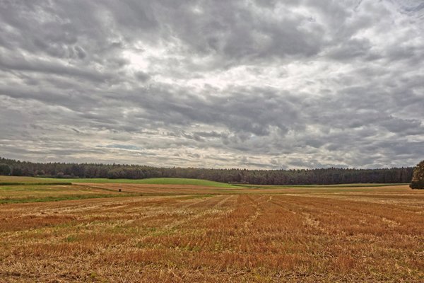 Grijsgevlekte lucht bij Dreimühlen, Duitsland 2014