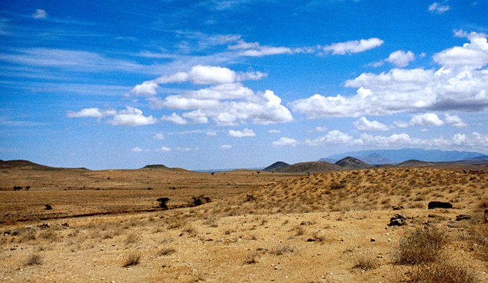 Woestijn in de omgeving van Baragol, Kenia 1997