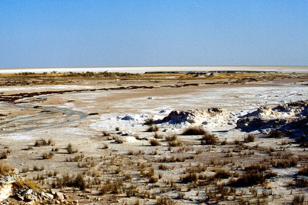 Zoutvlakte in Etosha, Namibië 1997