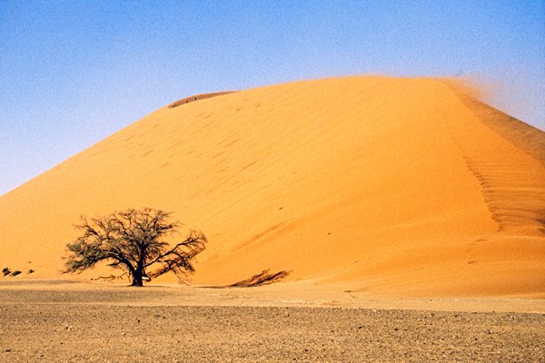 Duin 45 in de Sossusvlei, Namibië 1997