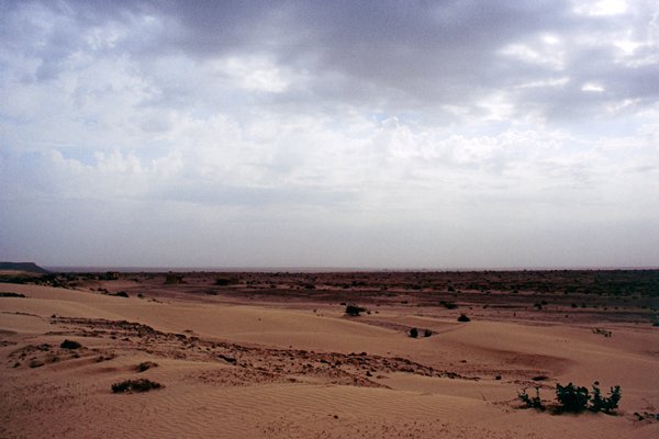 Regen in de woestijn bij Jaisalmer, India 1998