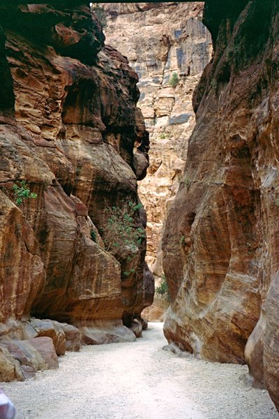 Nauwe passage tussen rotswanden in Petra, Jordanië 1998